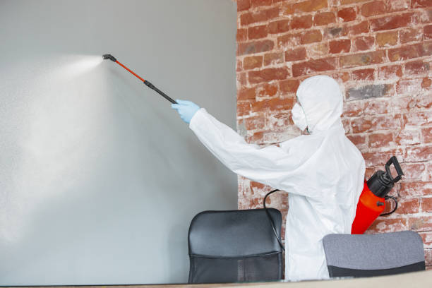 Best Industrial Mold Remediation  in Pigeon, MI