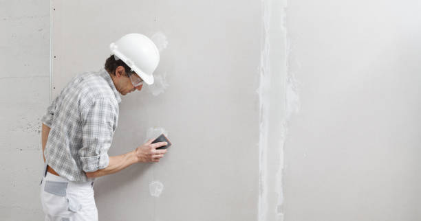 Forensic Mold Investigation in Pigeon, MI