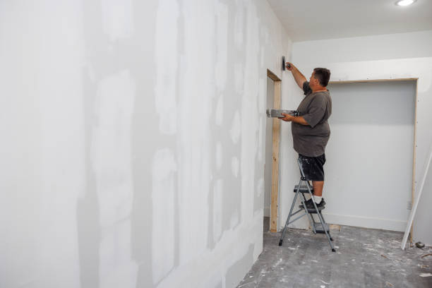Best Mold Remediation for Rental Properties  in Pigeon, MI