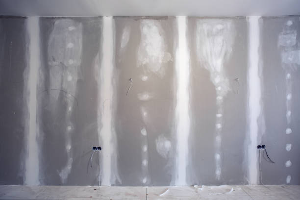 Best Real Estate Mold Inspection  in Pigeon, MI